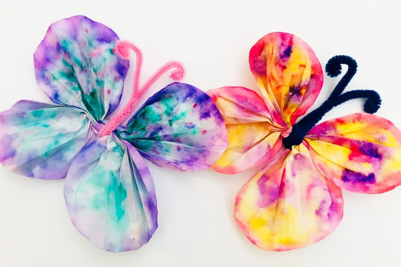 butterfly craft