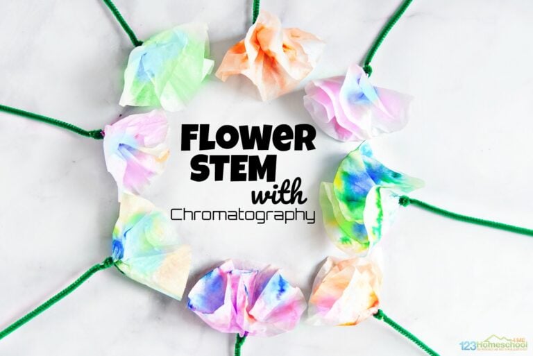 chromatography for kids 768x513